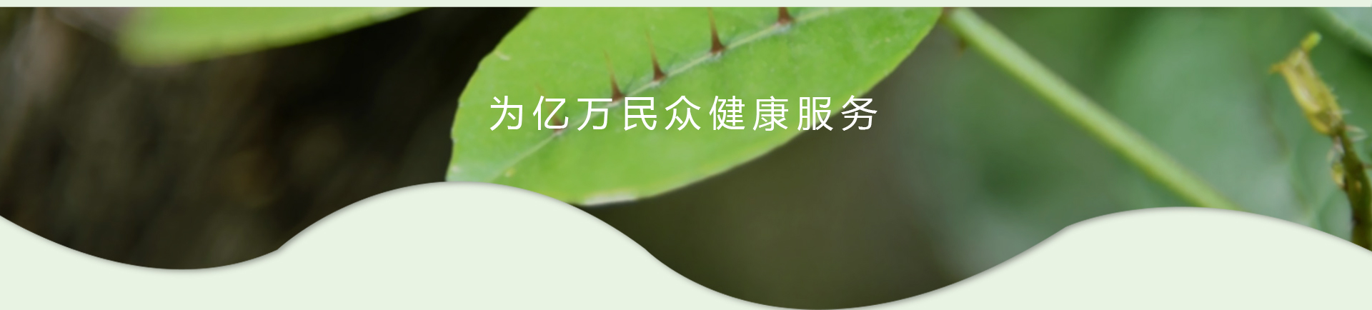 918搏天堂(中国)人生就是搏