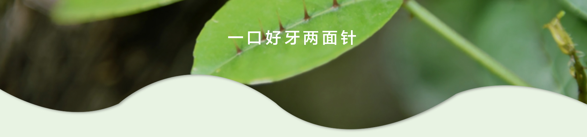 918搏天堂(中国)人生就是搏